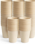 100 Biodegradable Sugarcane Cups