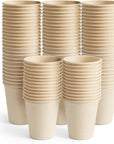 Biodegradable Sugarcane Cups