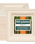 Square Sugarcane Plates - 20cm (8")