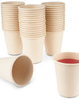 Biodegradable Sugarcane Cups