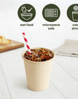 Biodegradable Sugarcane Cups
