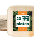 Square Palm Leaf Dessert Plates - 15cm (6")