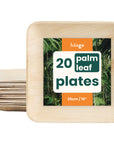 Square Palm Leaf Dinner Plates - 25cm (10")