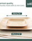 Square Palm Leaf Plates Set
