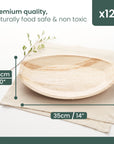 Large Palm Leaf Platters - 25x35cm (10x14")