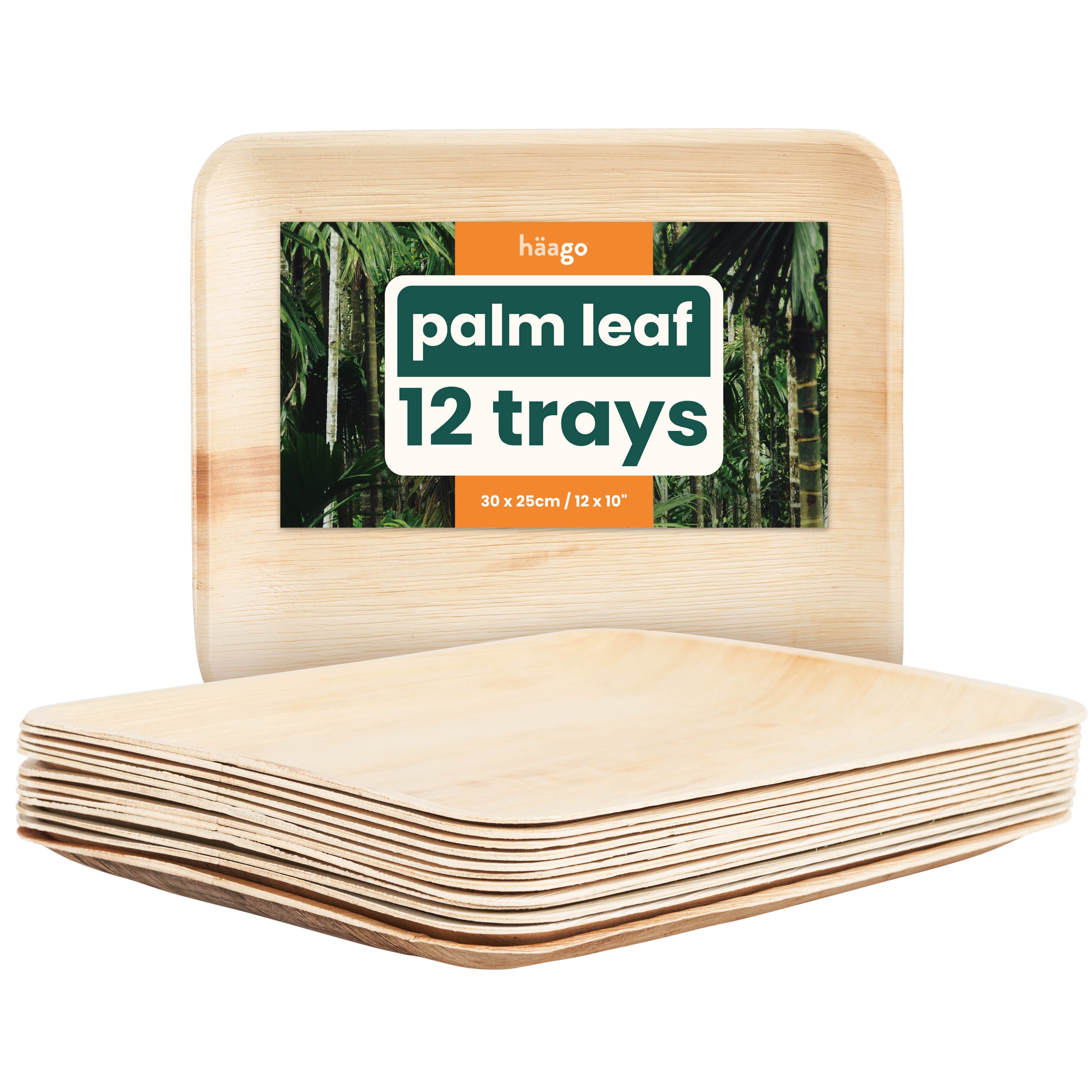 Assiettes Jetables écologiques Assiettes Jetables Palmier GREENBOX - 25 Pièces 20x20cm - Biodégradable écologique Assiettes Rectangulaires Naturelles