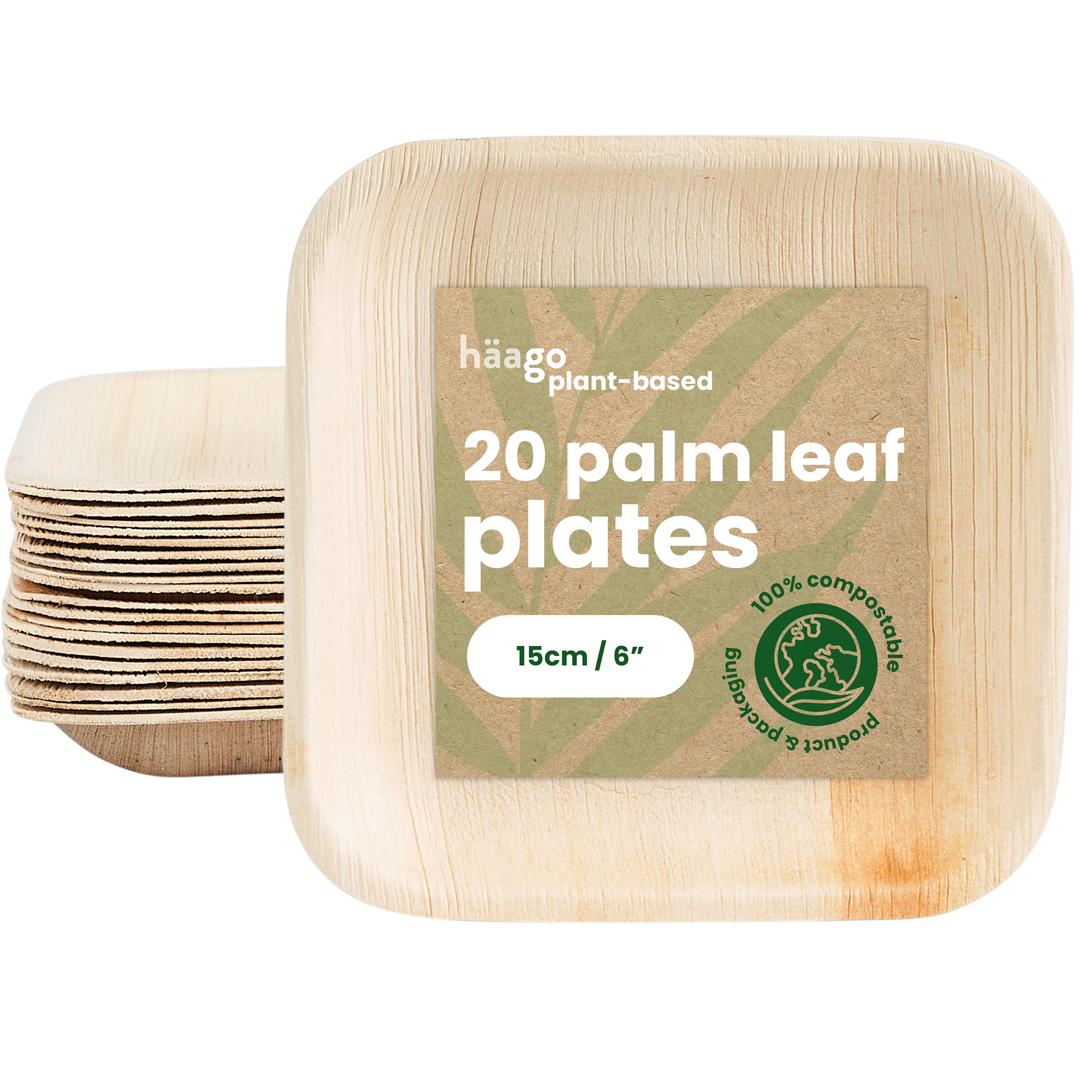 20 Palm Leaf Plates - Square Small